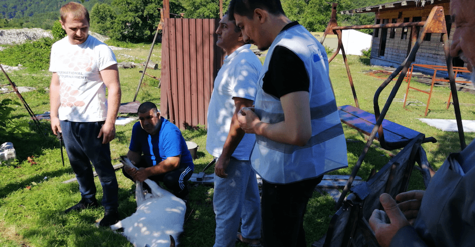 Kafkasya’da Kurban 2019