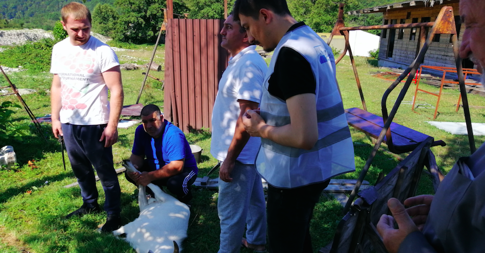 Kafkasya’da Kurban 2019